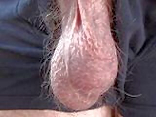 hairyartist wish